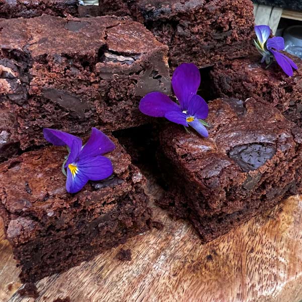 Warners-Sloe-Gin-Choc-Brownies